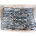 Beku IQF Berkepala Tail Pacific Mackerel Hgt